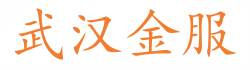 武汉金服